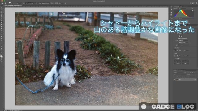 シャドーからハイライトまで山のある画像