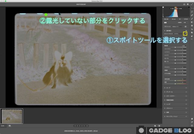 ホワイトバランス修正
