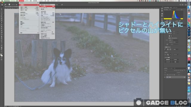 ピクセルの山が無い